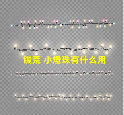饑荒 小燈珠有什么用
